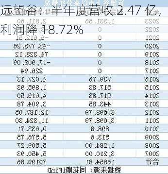 远望谷：半年度营收 2.47 亿，利润降 18.72%