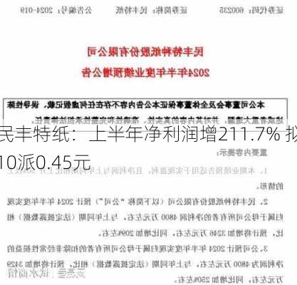 民丰特纸：上半年净利润增211.7% 拟10派0.45元