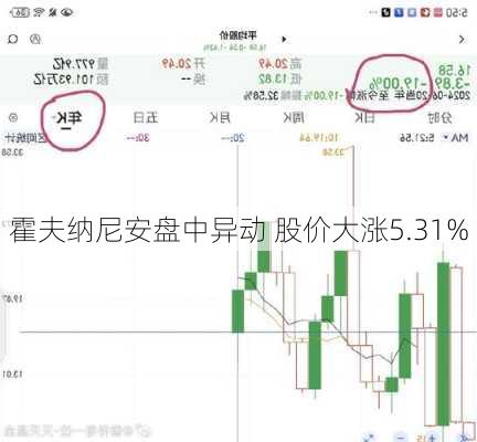 霍夫纳尼安盘中异动 股价大涨5.31%