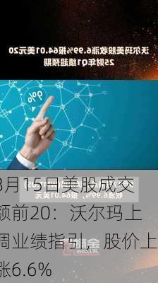 8月15日美股成交额前20：沃尔玛上调业绩指引，股价上涨6.6%