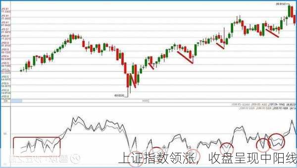 上证指数领涨，收盘呈现中阳线