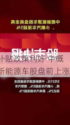 补贴政策利好 中概新能源车股盘前上涨