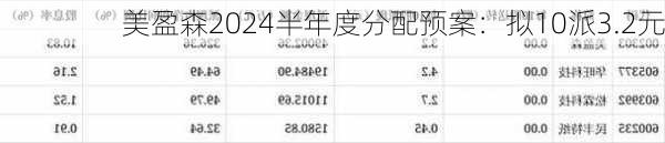 美盈森2024半年度分配预案：拟10派3.2元