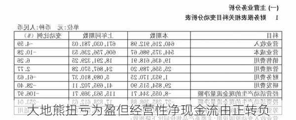 大地熊扭亏为盈但经营性净现金流由正转负