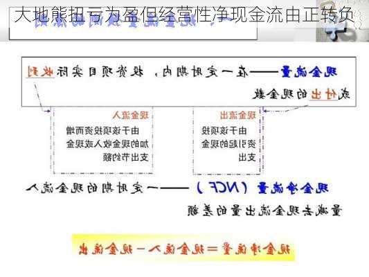 大地熊扭亏为盈但经营性净现金流由正转负