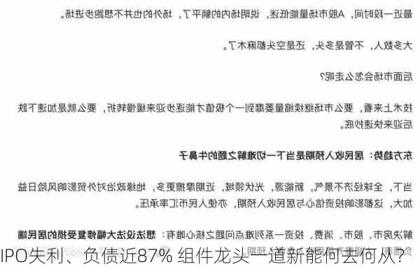 IPO失利、负债近87% 组件龙头一道新能何去何从？