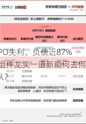 IPO失利、负债近87% 组件龙头一道新能何去何从？