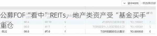 公募FOF“看中”REITs，地产类资产受“基金买手”重仓