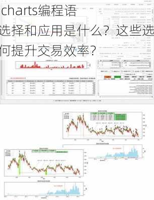 Multicharts编程语言的选择和应用是什么？这些选择如何提升交易效率？