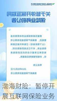 渤海财险：暂停开展互联网保险业务