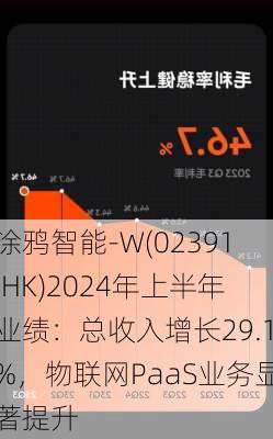 涂鸦智能-W(02391.HK)2024年上半年业绩：总收入增长29.1%，物联网PaaS业务显著提升