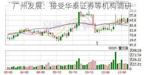 广州发展：接受华泰证券等机构调研