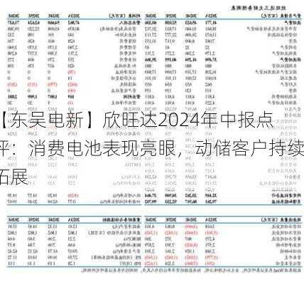 【东吴电新】欣旺达2024年中报点评：消费电池表现亮眼，动储客户持续拓展