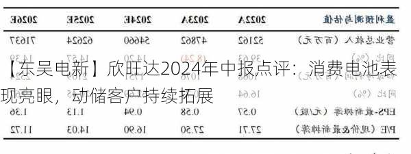 【东吴电新】欣旺达2024年中报点评：消费电池表现亮眼，动储客户持续拓展