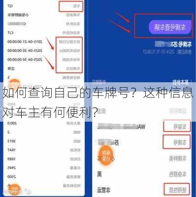 如何查询自己的车牌号？这种信息对车主有何便利？