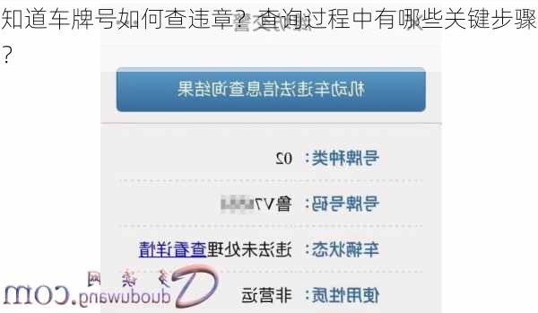 知道车牌号如何查违章？查询过程中有哪些关键步骤？