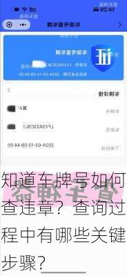 知道车牌号如何查违章？查询过程中有哪些关键步骤？