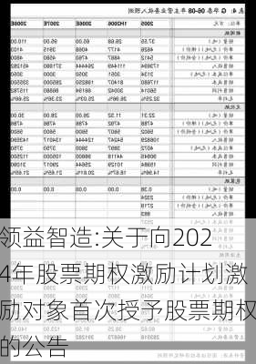 领益智造:关于向2024年股票期权激励计划激励对象首次授予股票期权的公告