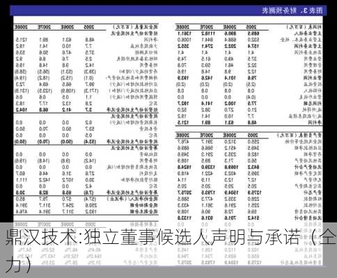 鼎汉技术:独立董事候选人声明与承诺（仝力）