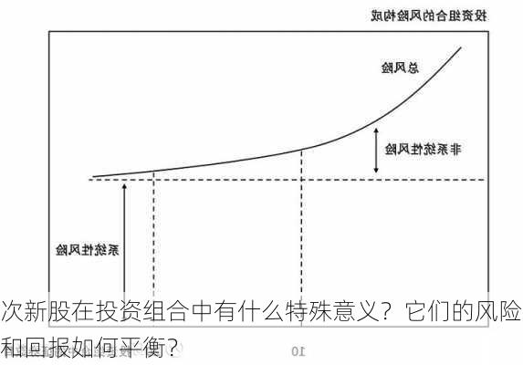 次新股在投资组合中有什么特殊意义？它们的风险和回报如何平衡？