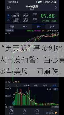 “黑天鹅”基金创始人再发预警：当心黄金与美股一同崩跌！