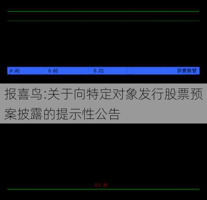 报喜鸟:关于向特定对象发行股票预案披露的提示性公告