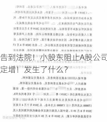 告到法院！小股东阻止A股公司定增！发生了什么？