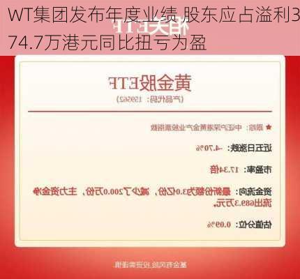 WT集团发布年度业绩 股东应占溢利374.7万港元同比扭亏为盈