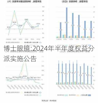 博士眼镜:2024年半年度权益分派实施公告