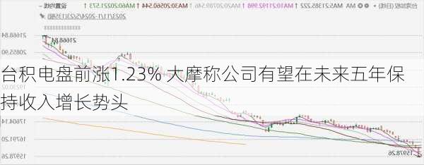 台积电盘前涨1.23% 大摩称公司有望在未来五年保持收入增长势头