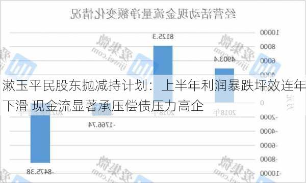 漱玉平民股东抛减持计划：上半年利润暴跌坪效连年下滑 现金流显著承压偿债压力高企