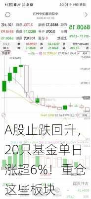 A股止跌回升，20只基金单日涨超6%！重仓这些板块