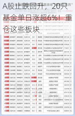 A股止跌回升，20只基金单日涨超6%！重仓这些板块