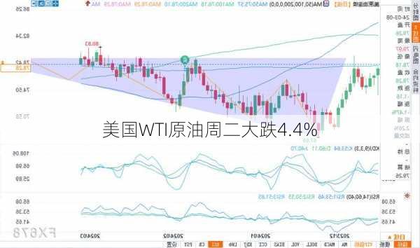 美国WTI原油周二大跌4.4%