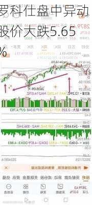 罗科仕盘中异动 股价大跌5.65%