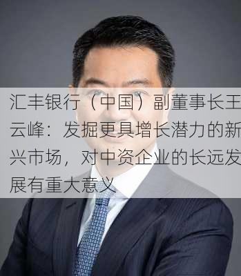 汇丰银行（中国）副董事长王云峰：发掘更具增长潜力的新兴市场，对中资企业的长远发展有重大意义