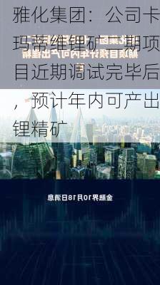 雅化集团：公司卡玛蒂维锂矿二期项目近期调试完毕后，预计年内可产出锂精矿