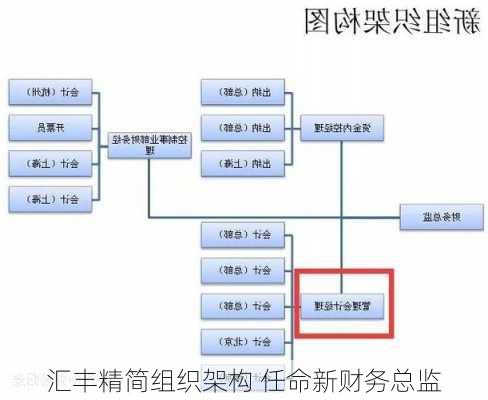 汇丰精简组织架构 任命新财务总监