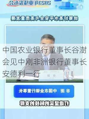 中国农业银行董事长谷澍会见中刚非洲银行董事长安德利一行