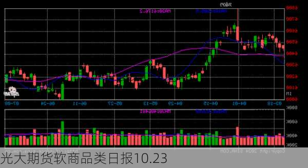 光大期货软商品类日报10.23