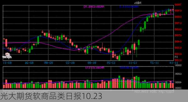 光大期货软商品类日报10.23