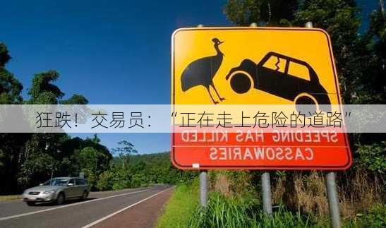 狂跌！交易员：“正在走上危险的道路”