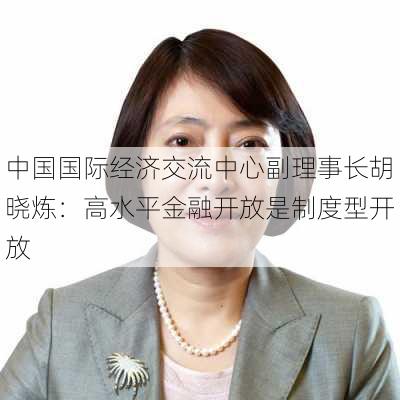 中国国际经济交流中心副理事长胡晓炼：高水平金融开放是制度型开放