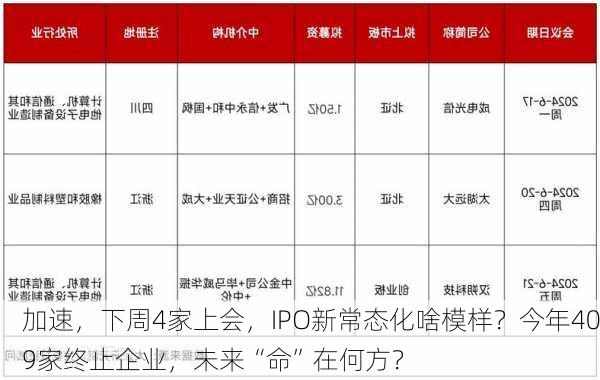 加速，下周4家上会，IPO新常态化啥模样？今年409家终止企业，未来“命”在何方？