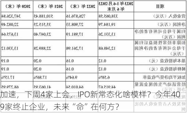 加速，下周4家上会，IPO新常态化啥模样？今年409家终止企业，未来“命”在何方？