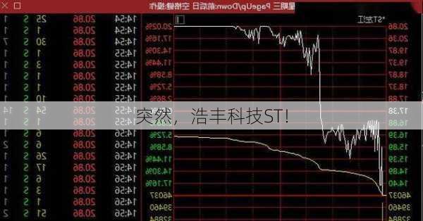 突然，浩丰科技ST！