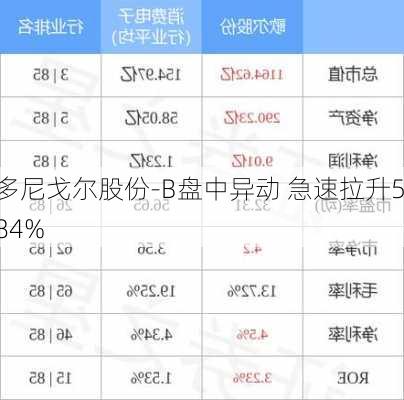 多尼戈尔股份-B盘中异动 急速拉升5.84%