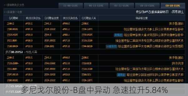 多尼戈尔股份-B盘中异动 急速拉升5.84%