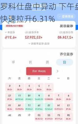 罗科仕盘中异动 下午盘快速拉升6.31%
