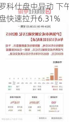 罗科仕盘中异动 下午盘快速拉升6.31%